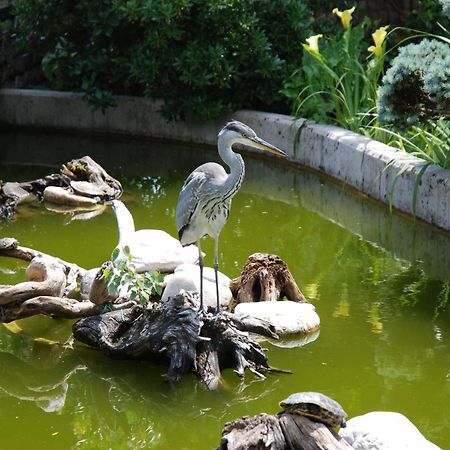 Al Giardino Ξενοδοχείο Fanna Εξωτερικό φωτογραφία