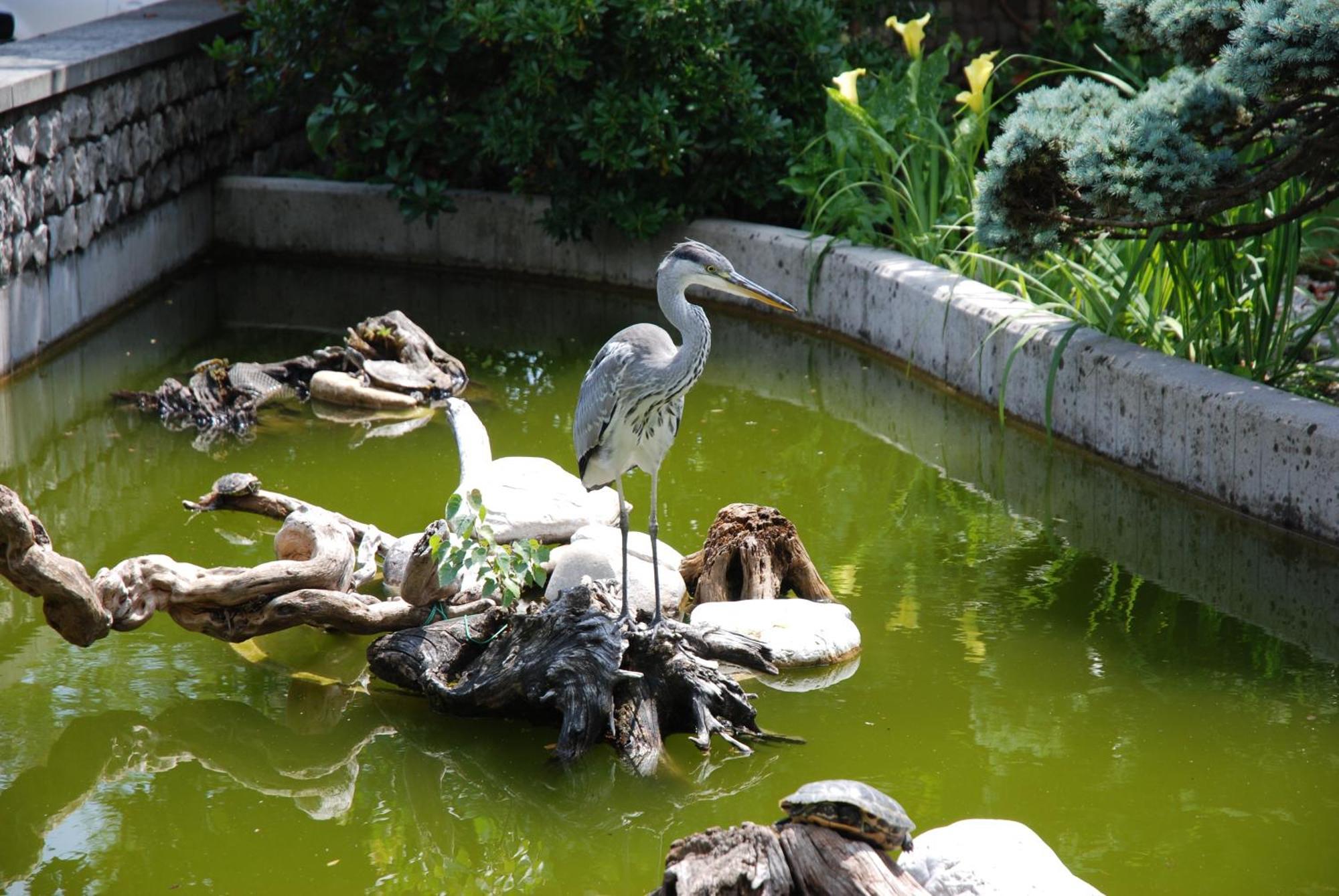 Al Giardino Ξενοδοχείο Fanna Εξωτερικό φωτογραφία